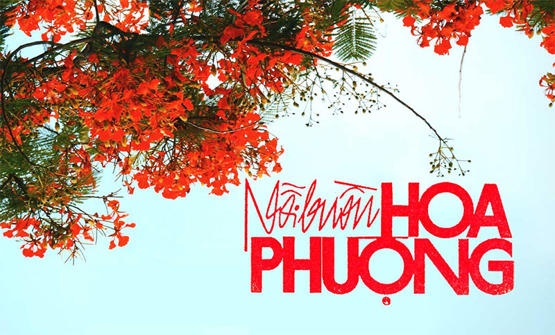 noi-buon-hoa-phuong