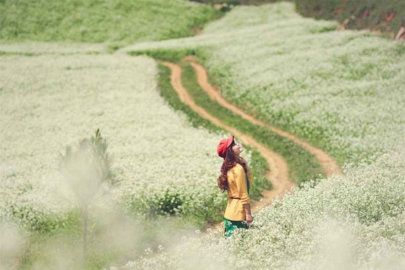 Váy suông và áo lông là lựa chọn hay nếu chưa biết mặc gì khi đi Mộc Châu tháng 11