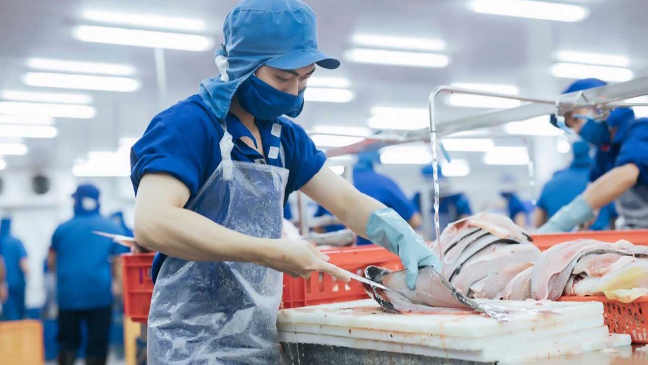 Top 3+ mẫu tạp dề thủy sản được ưa chuộng hiện nay
