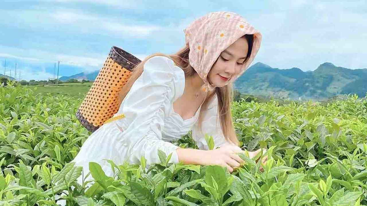 Mặc gì khi đi Mộc Châu tháng 11 vừa ấm vừa sang – xịn –  mịn?