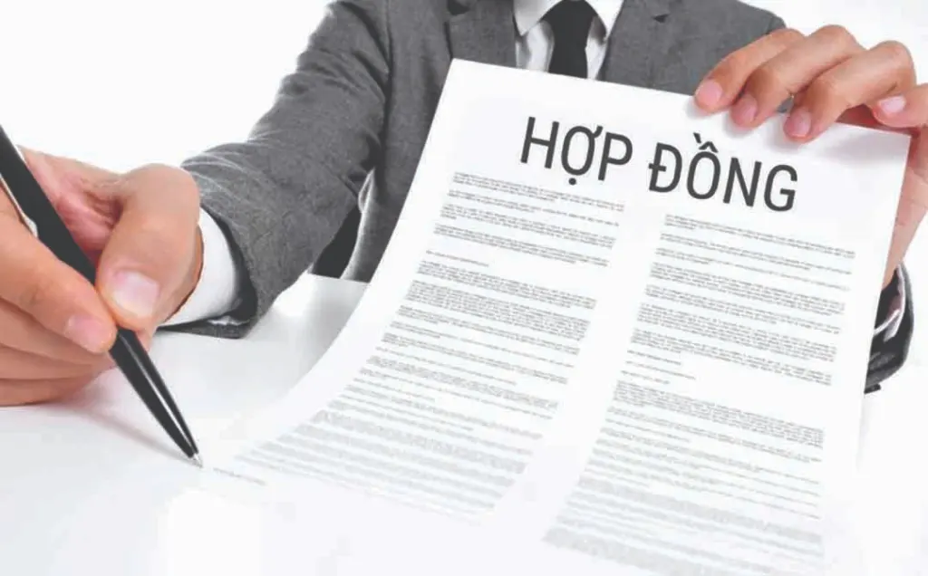Kiểm tra kỹ hợp đồng và điều khoản